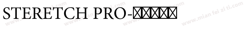 STERETCH PRO字体转换